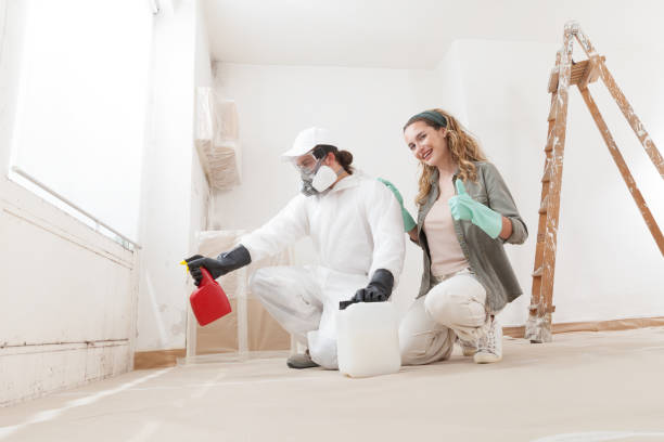Best Attic Mold Removal  in Arkwright, SC